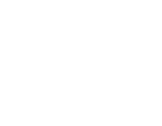 Zebra Design - Eger