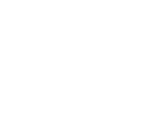 Zebra Design - Eger
